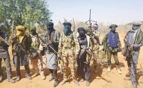 Insecurity: Five Sokoto LGs under bandits, terrorists’ siege