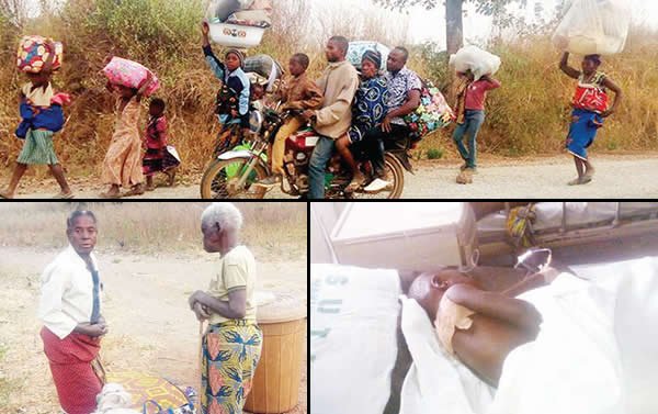 Benue herders allegedly kill policemen, 16 residents