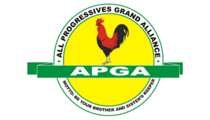 Court nullifies Abia APGA gov primary, orders fresh election